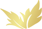 Wholesale Paradise Seeds